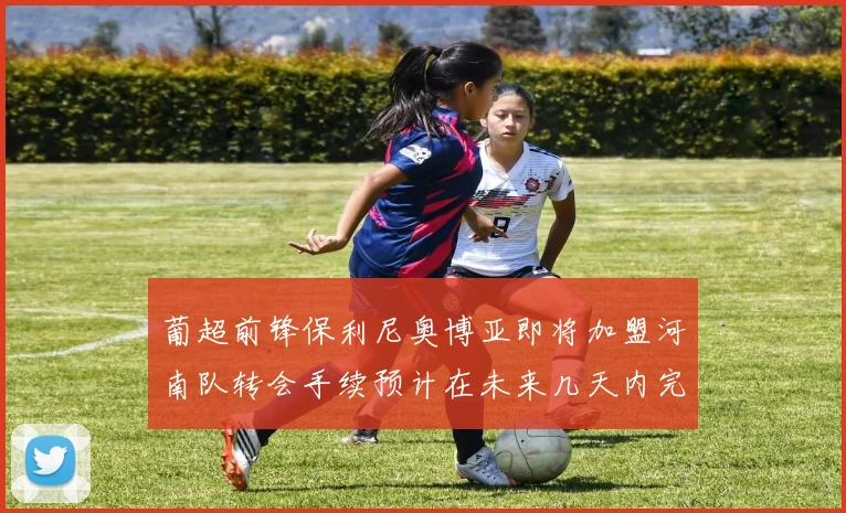 葡超前锋保利尼奥博亚即将加盟河南队转会手续预计在未来几天内完成
